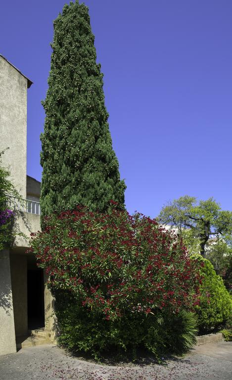 Aparthotel Le Vieux Moulin 3*